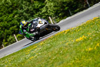 Brno;event-digital-images;motorbikes;no-limits;peter-wileman-photography;trackday;trackday-digital-images